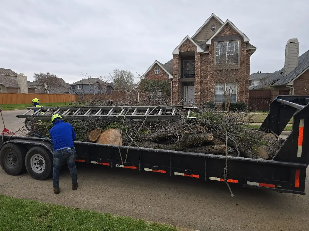 Expert Tree Fertilization with proper safety equipment in Chincoteague Island